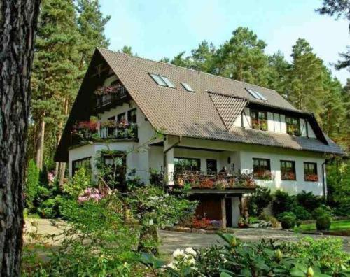 Pension Tannenspitze Wittenberg Extérieur photo