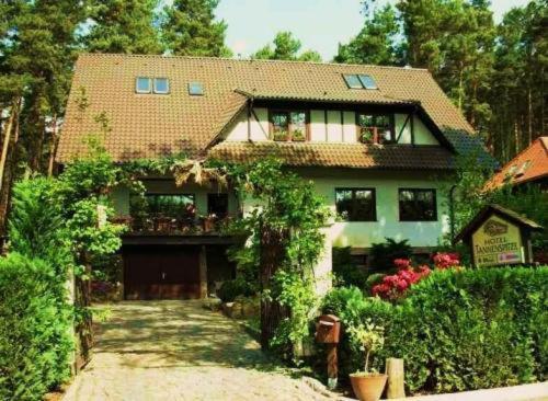 Pension Tannenspitze Wittenberg Extérieur photo