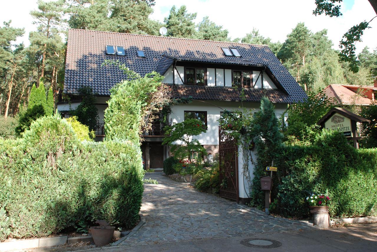 Pension Tannenspitze Wittenberg Extérieur photo