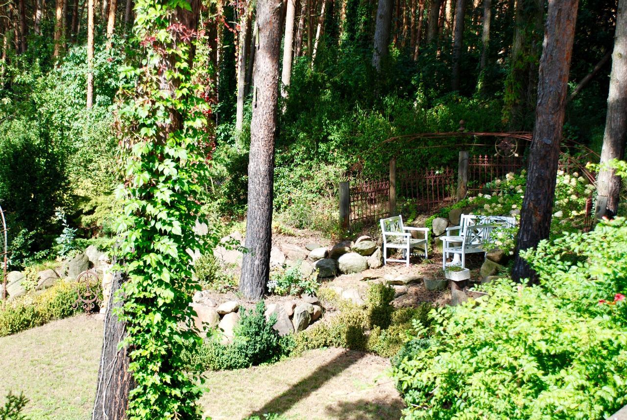 Pension Tannenspitze Wittenberg Extérieur photo