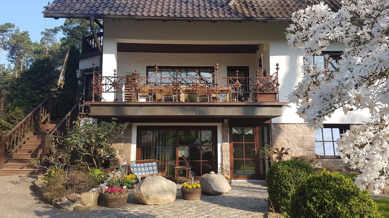 Pension Tannenspitze Wittenberg Extérieur photo